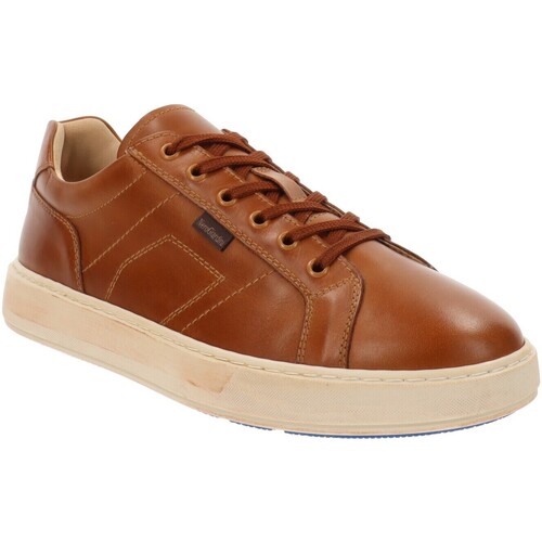 Schoenen Heren Sneakers NeroGiardini E400222U Brown