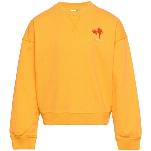 Textiel Meisjes Sweaters / Sweatshirts O'neill  Orange
