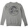 Textiel Jongens Sweaters / Sweatshirts O'neill  Grijs