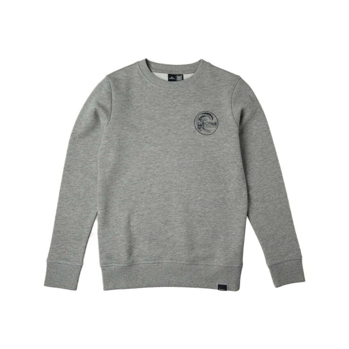 Textiel Jongens Sweaters / Sweatshirts O'neill  Grijs
