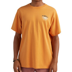 Textiel Heren T-shirts & Polo’s O'neill  Orange