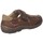 Schoenen Heren Sandalen / Open schoenen Luisetti BASKETS  37103 Brown