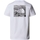 Textiel Heren T-shirts & Polo’s The North Face Redbox Celebration T-Shirt - White Wit