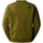 Textiel Heren Sweaters / Sweatshirts The North Face 489 Sweatshirt - Forest Olive Groen