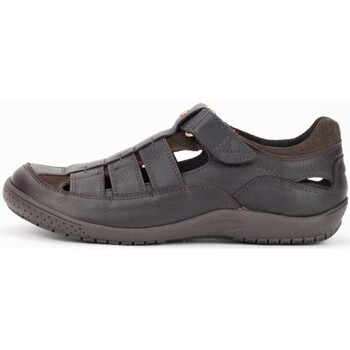 Schoenen Heren Sandalen / Open schoenen Panama Jack 32411 Brown