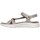 Schoenen Dames Sandalen / Open schoenen Skechers 141451 GO WALK FLEX SANDAL Brown