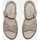 Schoenen Dames Sandalen / Open schoenen Timberland London vibe backstrap sandal Beige