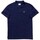 Textiel Heren Polo's korte mouwen Tommy Jeans POLO HOMBRE REG BADGE   DM0DM18314 Blauw
