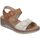 Schoenen Dames Sandalen / Open schoenen Amarpies ABZ26568 Brown