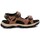 Schoenen Heren Sandalen / Open schoenen Xti 142784 Brown
