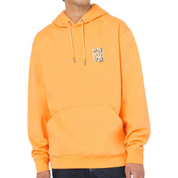 Textiel Heren Sweaters / Sweatshirts Dickies  Orange