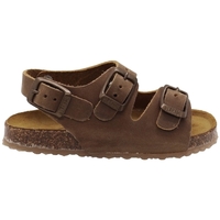 Schoenen Kinderen Sandalen / Open schoenen Plakton Petrol baby Sandals - Beige Brown