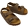 Schoenen Kinderen Sandalen / Open schoenen Plakton Petrol Baby Sandals - Kaki Groen