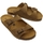 Schoenen Dames Sandalen / Open schoenen Plakton Pulton Sandals - Tan Brown