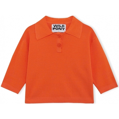 Textiel Dames Truien Wild Pony Knit 10604 - Orange Orange