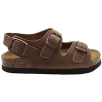 Schoenen Kinderen Sandalen / Open schoenen Plakton Corto Baby Sandals - Beige Brown