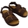 Schoenen Kinderen Sandalen / Open schoenen Plakton Poli Kids Sandals - Moresco Brown