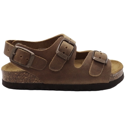Schoenen Kinderen Sandalen / Open schoenen Plakton Corto Kids Sandals - Beige Brown