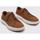 Schoenen Heren Lage sneakers Timberland Maple Grove LOW LACE UP Brown