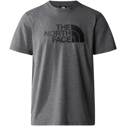 Textiel Heren T-shirts korte mouwen The North Face NF0A87N5DYY1 Grijs