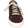 Schoenen Dames Sneakers Astorflex EY832 Brown