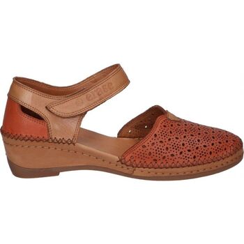 Schoenen Dames Sandalen / Open schoenen Erase Wondy 383.173 Brown
