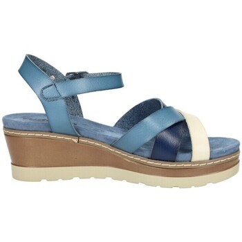 Schoenen Dames Sandalen / Open schoenen Refresh  Blauw