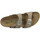 Schoenen Dames Sandalen / Open schoenen Birkenstock Sydney Bs Brown
