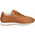 Schoenen Dames Sneakers Stokton EY880 Brown