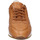 Schoenen Dames Sneakers Stokton EY880 Brown
