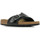 Schoenen Dames Sandalen / Open schoenen Birkenstock Catalina Bs Zwart