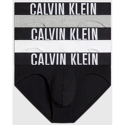 Ondergoed Heren BH's Calvin Klein Jeans 000NB3607AMP1 HIP BRIEF 3PK Multicolour