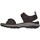 Schoenen Heren Sandalen / Open schoenen Skechers BASKETS  205112 Brown