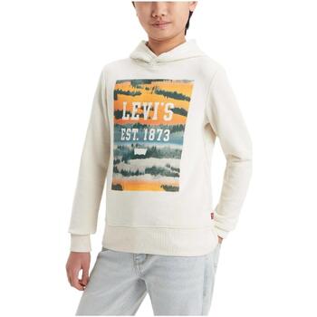 Textiel Jongens Sweaters / Sweatshirts Levi's  Beige
