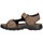 Schoenen Heren Sandalen / Open schoenen Lois 74591 Brown