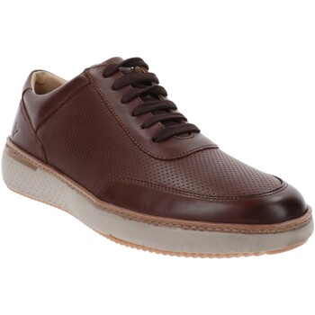 Schoenen Heren Sneakers Valleverde VV-360992 Brown