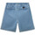 Textiel Heren Korte broeken / Bermuda's Vans Range denim relaxedhort Blauw
