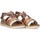 Schoenen Dames Sandalen / Open schoenen Xti 74753 Brown