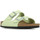Schoenen Dames Sandalen / Open schoenen Birkenstock Arizona Bs Groen