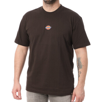 Textiel Heren T-shirts & Polo’s Dickies  Brown