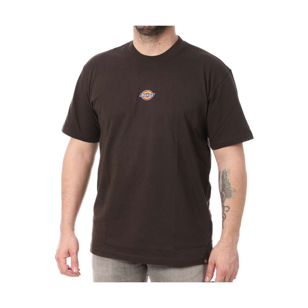 Textiel Heren T-shirts & Polo’s Dickies  Brown