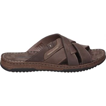Schoenen Heren Sandalen / Open schoenen Walk & Fly 963-40110 Brown