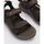 Schoenen Heren Sandalen / Open schoenen Columbia TRAILSTORM HIKER 3 STRAP Brown
