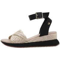 Schoenen Dames Sandalen / Open schoenen Gioseppo MEHAMA Zwart