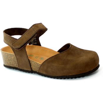 Schoenen Dames Sandalen / Open schoenen Grunland GRU-CCC-SB1358-TM Brown