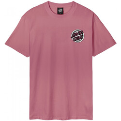 Textiel Heren T-shirts & Polo’s Santa Cruz Dressen rose crew one Roze