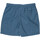 Textiel Heren Zwembroeken/ Zwemshorts Santa Cruz Classic dot Blauw