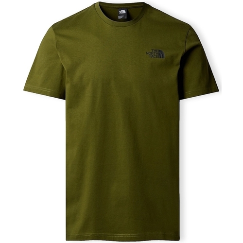 Textiel Heren T-shirts & Polo’s The North Face Redbox Celebration T-Shirt - Forest Olive Groen