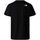 Textiel Heren T-shirts & Polo’s The North Face Fine Alpine Equipment 3 T-Shirt - Black Zwart