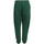 Textiel Heren Broeken / Pantalons New Balance Se Ft Jogger Groen